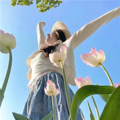 我的单板女孩第二季 海报