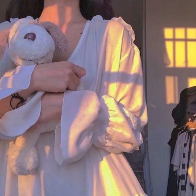 小鸟之翼第二季 海报